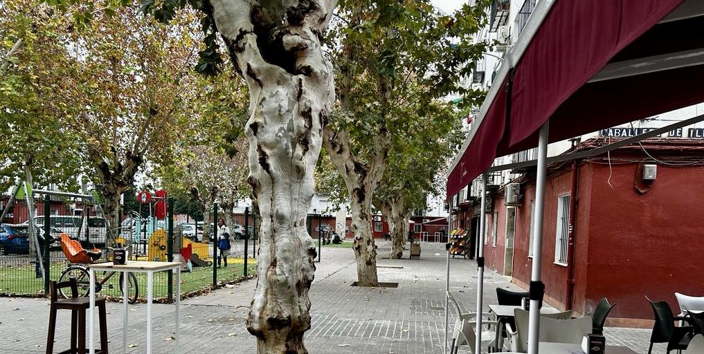 Bar el Tardón